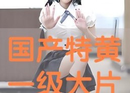 国产特黄大片,揭秘特黄大片背后的故事与影响