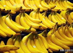 国产香蕉网,探索中国香蕉产业的魅力与未来